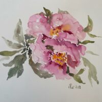 Pivoines 2